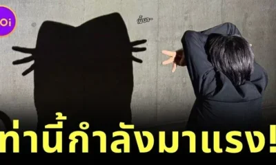 เกาหลีใต้ฮิตโพสต์ท่า "เงาแมว (Cat Shadow Trend)" เทรนด์ใหม่สุดคิ้วต์ที่กำลังครองใจโลกโซเชียล