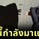 เกาหลีใต้ฮิตโพสต์ท่า "เงาแมว (Cat Shadow Trend)" เทรนด์ใหม่สุดคิ้วต์ที่กำลังครองใจโลกโซเชียล