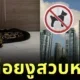 คอนโดห้ามเลี้ยงสัตว์ แต่ข้างห้องเลี้ยงหมา อีกห้องเลยปล่อยงูรอสวบ งานนี้ว้าวุ่นทั้งตึก
