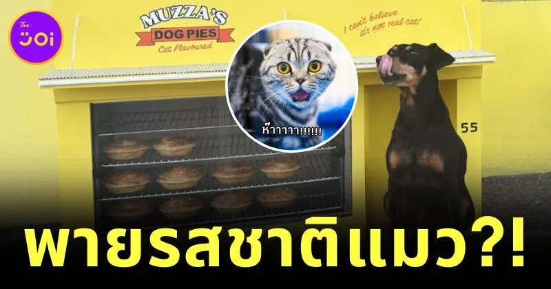 ร้านพายในนิวซีแลนด์เปิดตัว "พายรสชาติแมว" สำหรับน้องหมา! โดยรายได้ส่วนหนึ่งยังช่วยเหลือสุนัขยากไร้อีกด้วย