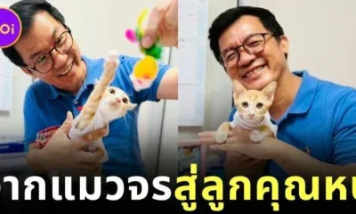 Nong SorTorNgoCat Adopted