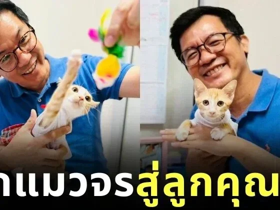 Nong SorTorNgoCat Adopted