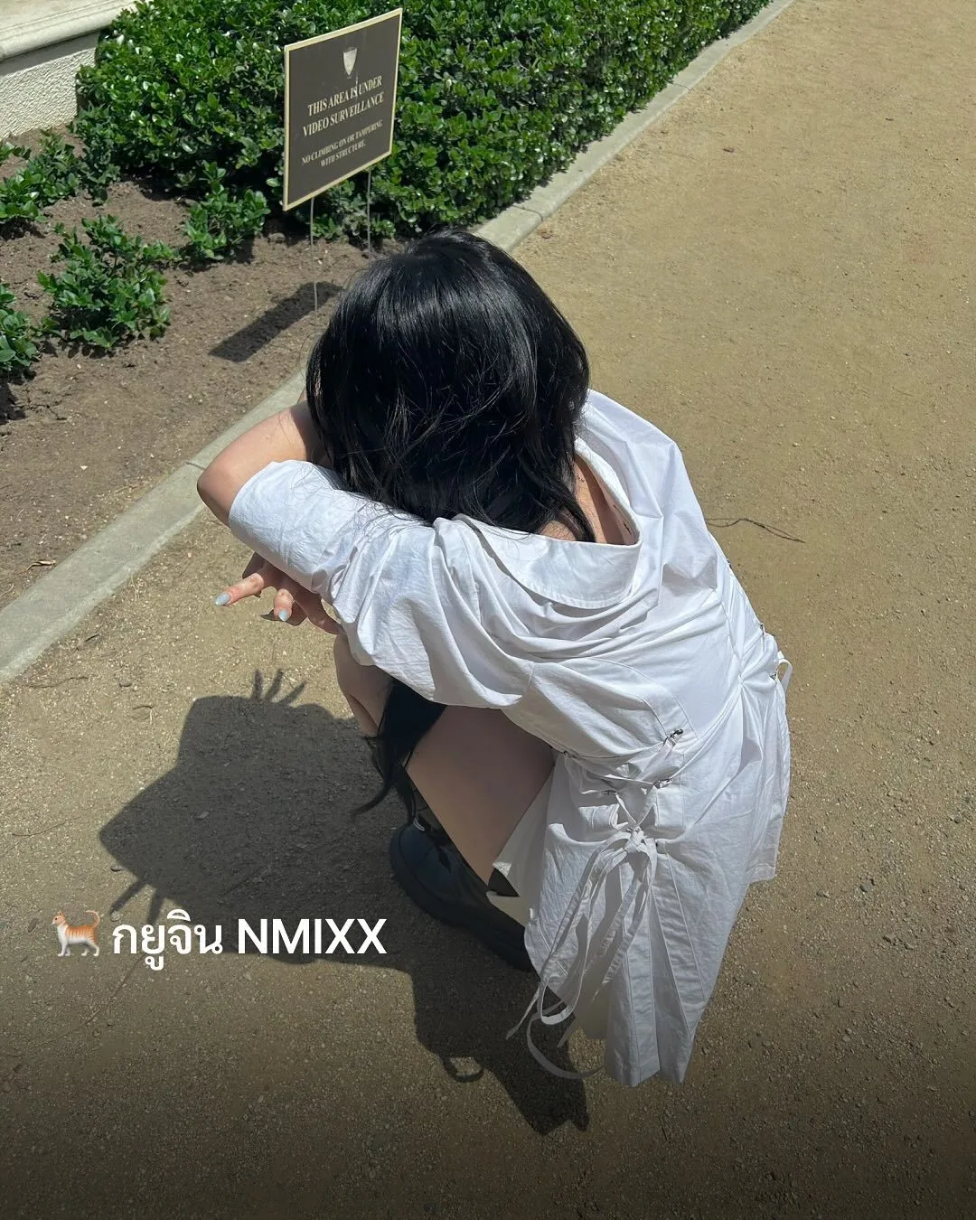 เกาหลีใต้ฮิตโพสต์ท่า "เงาแมว (Cat Shadow Trend)" เทรนด์ใหม่สุดคิ้วต์ที่กำลังครองใจโลกโซเชียล