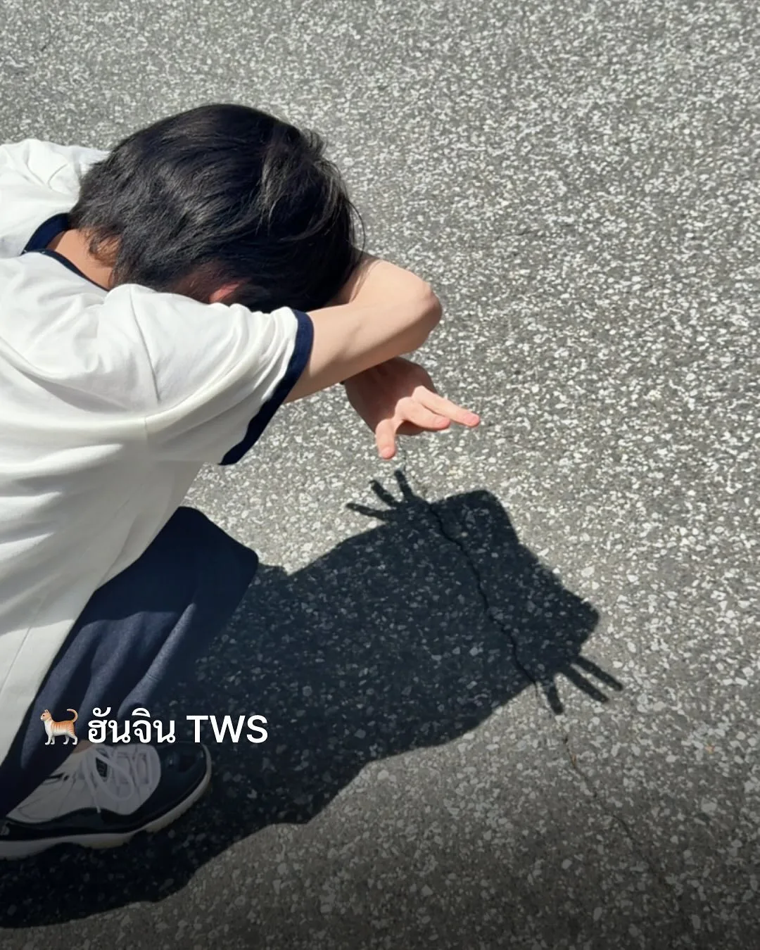 เกาหลีใต้ฮิตโพสต์ท่า "เงาแมว (Cat Shadow Trend)" เทรนด์ใหม่สุดคิ้วต์ที่กำลังครองใจโลกโซเชียล