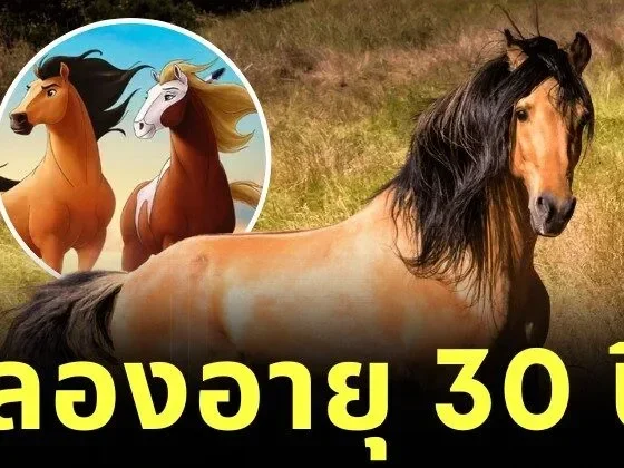 "สปิริต (Spirit)" ม้าต้นแบบจากแอนิเมชั่นดัง "Spirit: Stallion of the Cimarron" ฉลองวันเกิดอายุครบ 30 ปี ขณะที่ใช้ชีวิตหลังเกษียณท่ามกลางธรรมชาติ
