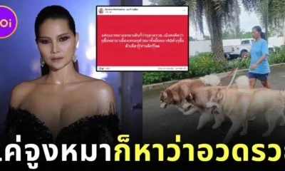 "สุนารี ราชสีมา" จูงหมาไซสามตัวเดินเล่น เจอดราม่าอวดรวย ทำเจ้าตัวเดือดจนต้องสวนกลับ!