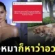 "สุนารี ราชสีมา" จูงหมาไซสามตัวเดินเล่น เจอดราม่าอวดรวย ทำเจ้าตัวเดือดจนต้องสวนกลับ!
