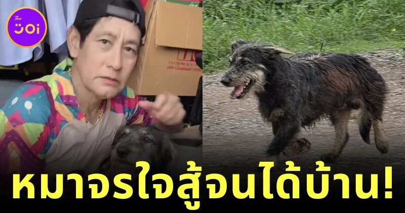 ทาสหมาใจฟู! "ท็อป-ไทด์ บรรลือฤทธิ์" รับเลี้ยงน้องหมาจร "นักวิ่งใจสู้" จากโครงการ "สัญญาไม่ทอดทิ้ง ขอวิ่งเพื่อบ้านสุขสุดท้าย"