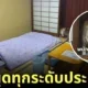 แมวในเรียวกังญี่ปุ่น