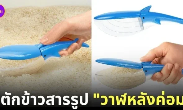 ที่ตักข้าวสารรูปวาฬหลังค่อม