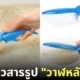 ที่ตักข้าวสารรูปวาฬหลังค่อม