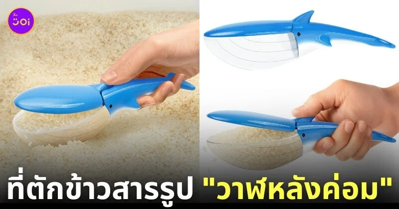 ที่ตักข้าวสารรูปวาฬหลังค่อม