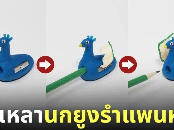 กบเหลาดินสอนกยูงรำแพนหาง