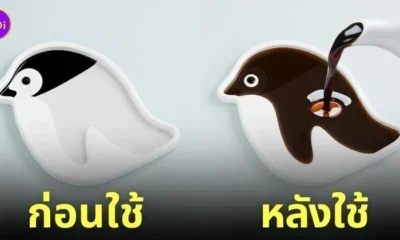 จานซอสรูปเพนกวิน