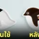 จานซอสรูปเพนกวิน