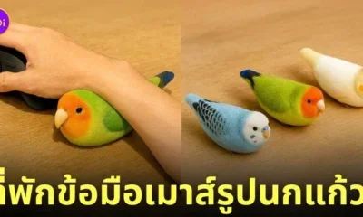 ที่พักข้อมือเมาส์รูปนกแก้ว