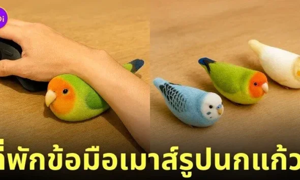 ที่พักข้อมือเมาส์รูปนกแก้ว