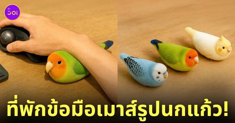 ที่พักข้อมือเมาส์รูปนกแก้ว