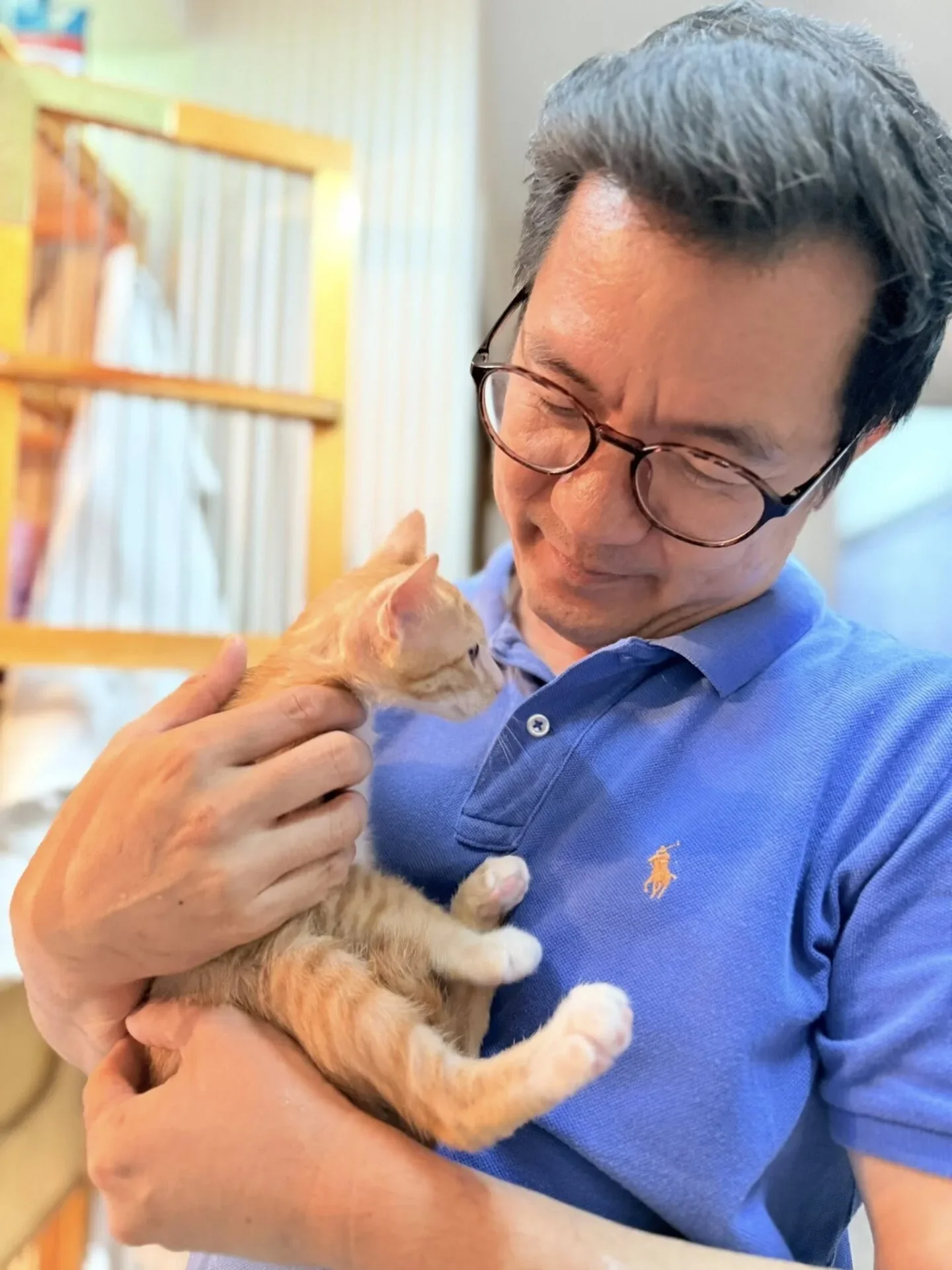 "น้องสตง" แมวส้มรอดตึกถล่ม ได้บ้านใหม่สุดอบอุ่น กลายเป็นคุณหนูในอ้อมกอดผู้บริหารโรงพยาบาลสินแพทย์
