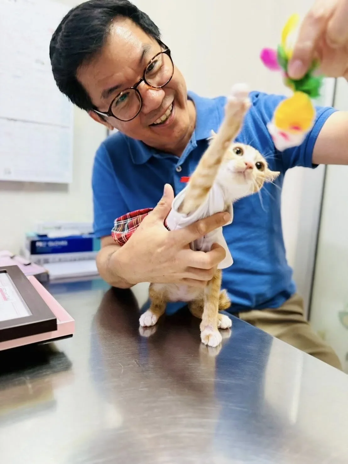 "น้องสตง" แมวส้มรอดตึกถล่ม ได้บ้านใหม่สุดอบอุ่น กลายเป็นคุณหนูในอ้อมกอดผู้บริหารโรงพยาบาลสินแพทย์
