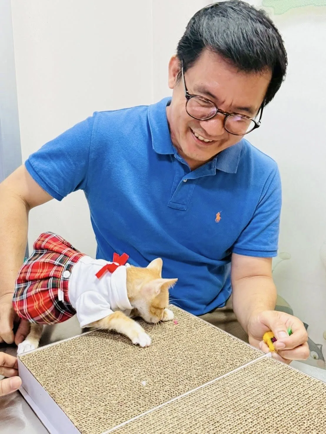 "น้องสตง" แมวส้มรอดตึกถล่ม ได้บ้านใหม่สุดอบอุ่น กลายเป็นคุณหนูในอ้อมกอดผู้บริหารโรงพยาบาลสินแพทย์
