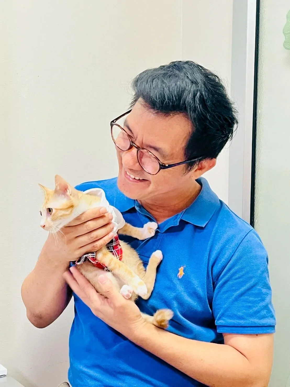 "น้องสตง" แมวส้มรอดตึกถล่ม ได้บ้านใหม่สุดอบอุ่น กลายเป็นคุณหนูในอ้อมกอดผู้บริหารโรงพยาบาลสินแพทย์