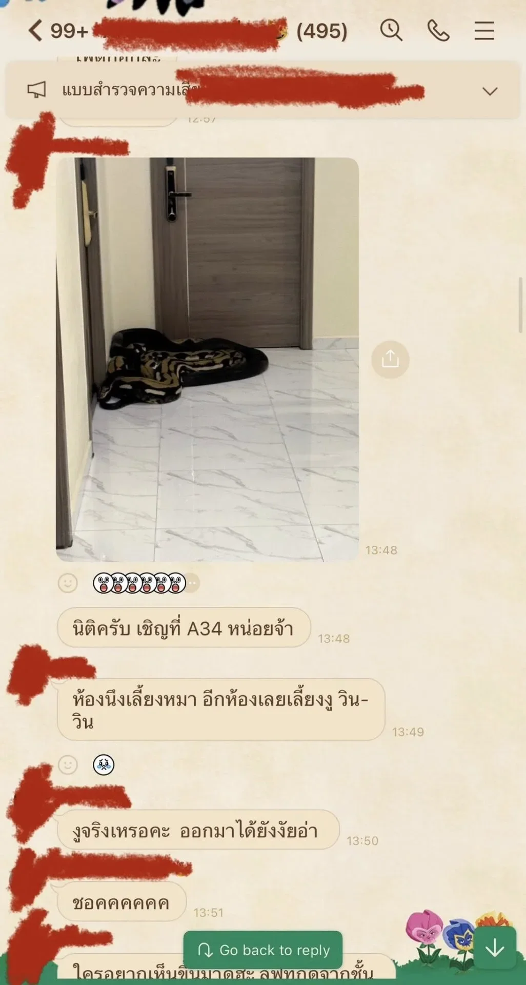 คอนโดห้ามเลี้ยงสัตว์ แต่ข้างห้องเลี้ยงหมา อีกห้องเลยปล่อยงูรอสวบ งานนี้ว้าวุ่นทั้งตึก