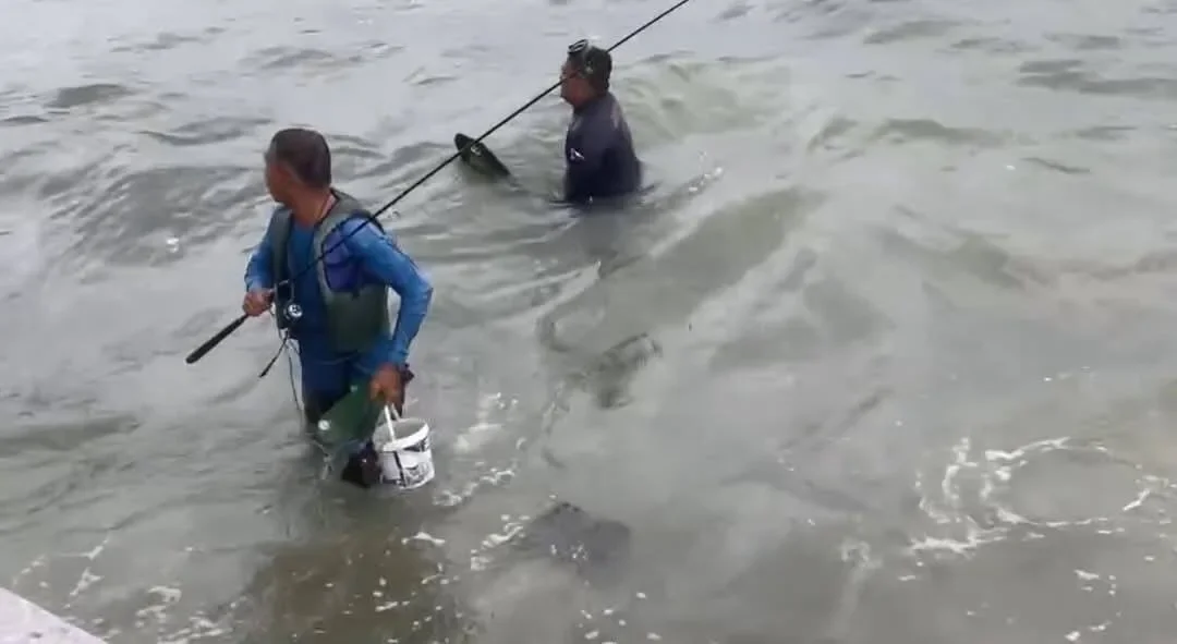 เจ้าหน้าที่เร่งช่วยลุงติดโขดหินกลางทะเลบางแสน ก่อนเจ้าตัวพูดช็อตฟีลว่า "ช่วยทำไม เดี๋ยวน้ำลงก็ขึ้นได้"