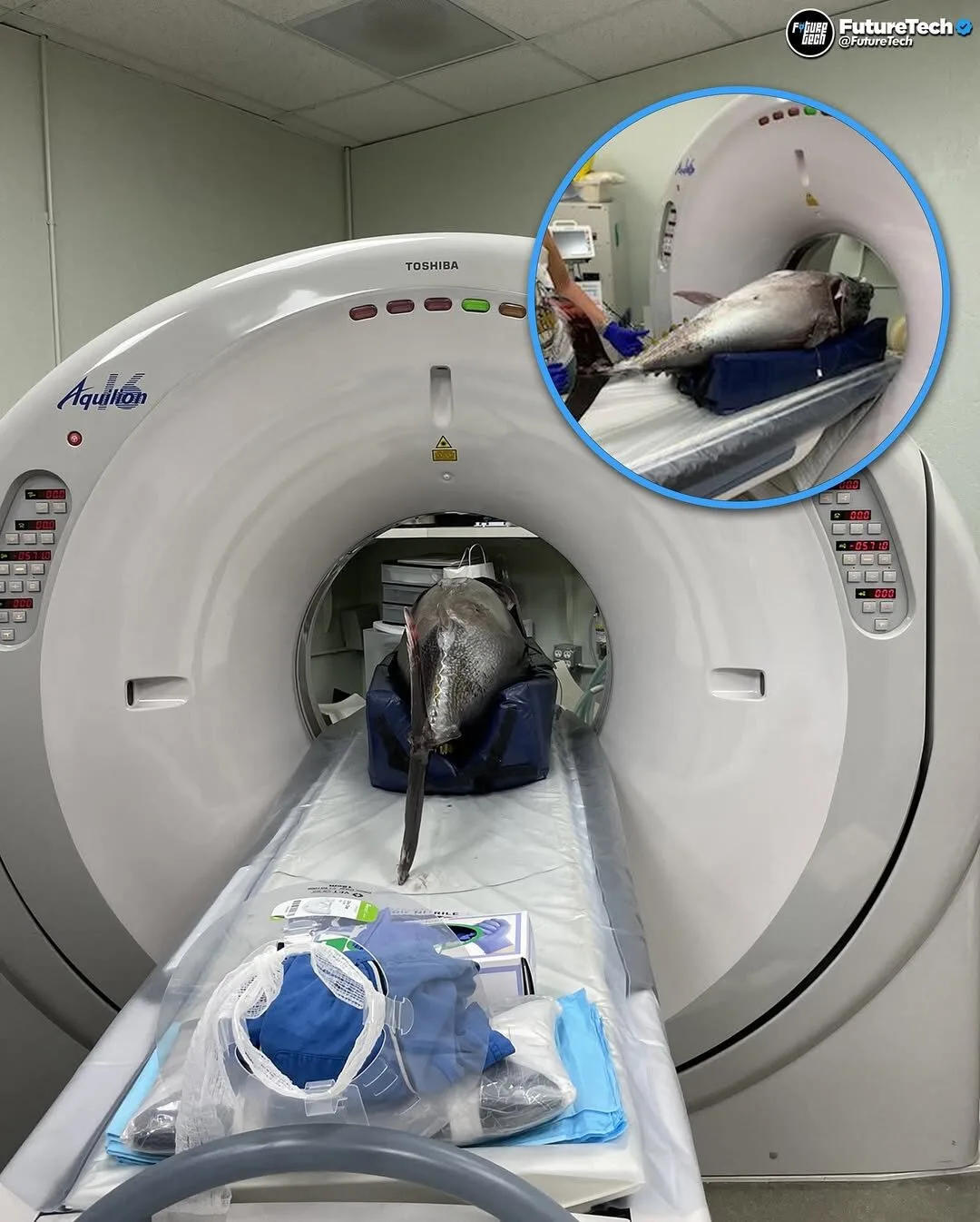 พาส่อง 12 ภาพหาดูยาก เมื่อสัตว์โลกน่ารักตรวจวินิจฉัยโรคด้วยเครื่องเอกซเรย์คอมพิวเตอร์ (CT Scan) (ภาค2)