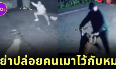 Drunk Man Danced With Dog