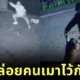 Drunk Man Danced With Dog