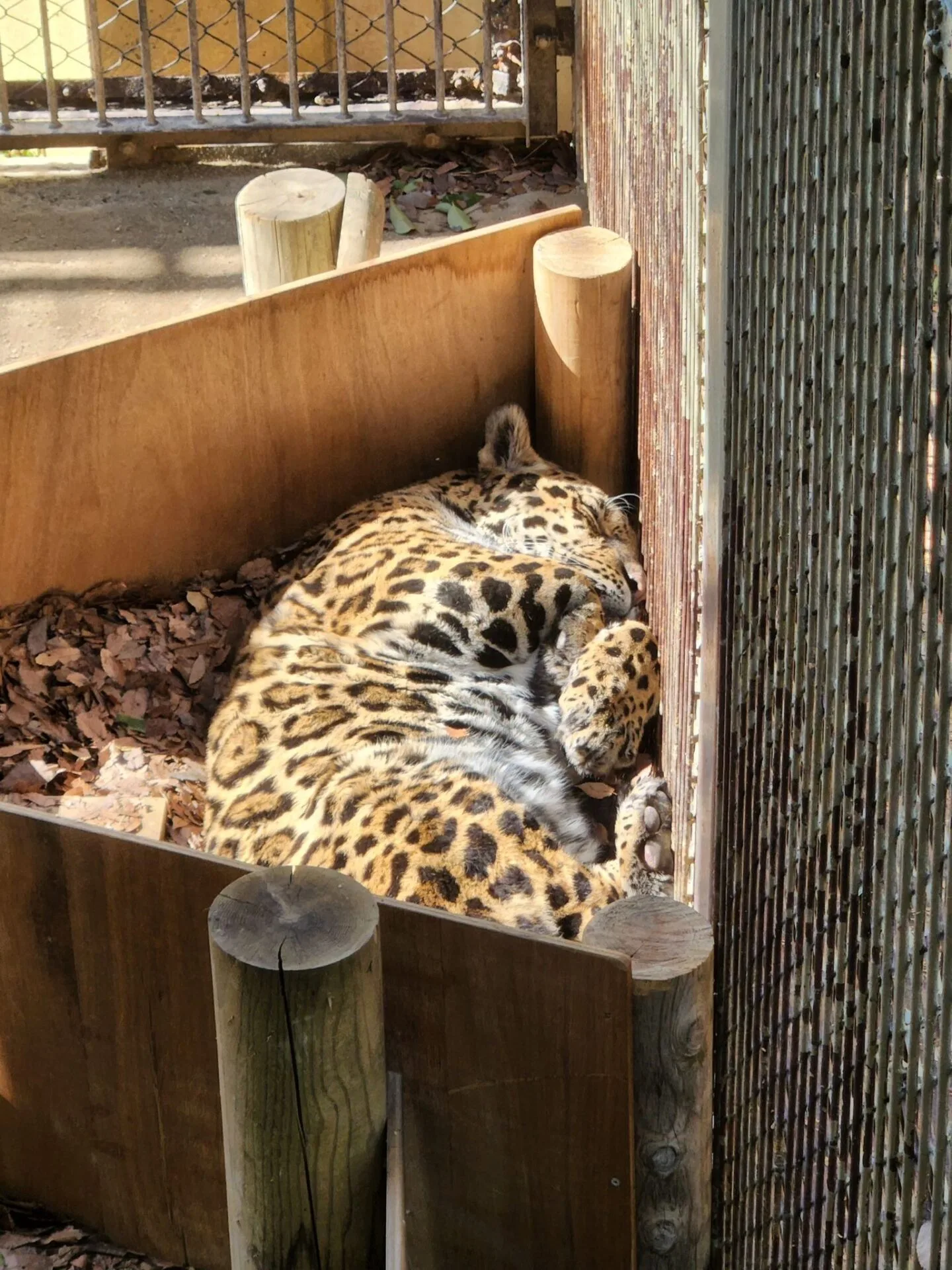 ภาพสัตว์โลกน่ารัก สวนสัตว์โทบุ Tobu Zoo ประเทศญี่ปุ่น