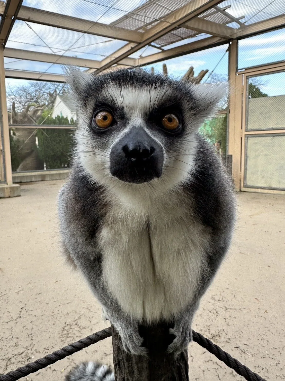 ภาพสัตว์โลกน่ารัก สวนสัตว์โทบุ Tobu Zoo ประเทศญี่ปุ่น