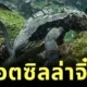 เผยคลิปอีกัวน่าทะเลแห่งเกาะกาลาปากอสหรือ "ก็อตซิลล่าจิ๋ว" สัตว์เลือดเย็นผู้ดำน้ำหาอาหารลึก 30 เมตร