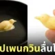 เนยรูปเพนกวิน