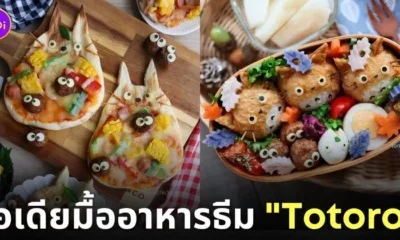 ไอเดียแต่งจานอาหาร ของหวาน ขนม โทโทโร่ Totoro