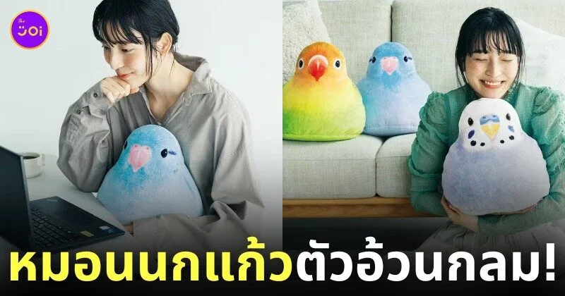 หมอนนกแก้วอ้วนกลม Felissimo