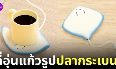 ที่อุ่นแก้วรูปปลากระเบน
