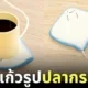 ที่อุ่นแก้วรูปปลากระเบน
