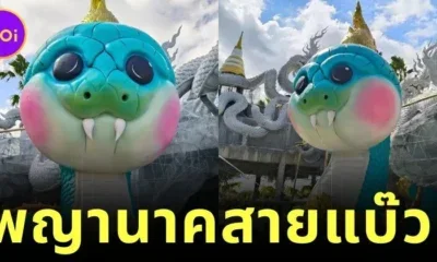 "นาคาเจ้าสัวน้อย" พญานาคสุดคิ้วท์แห่งวัดดอนใหญ่ แลนด์มาร์คใหม่ย่านคลอง 8 ลำลูกกา