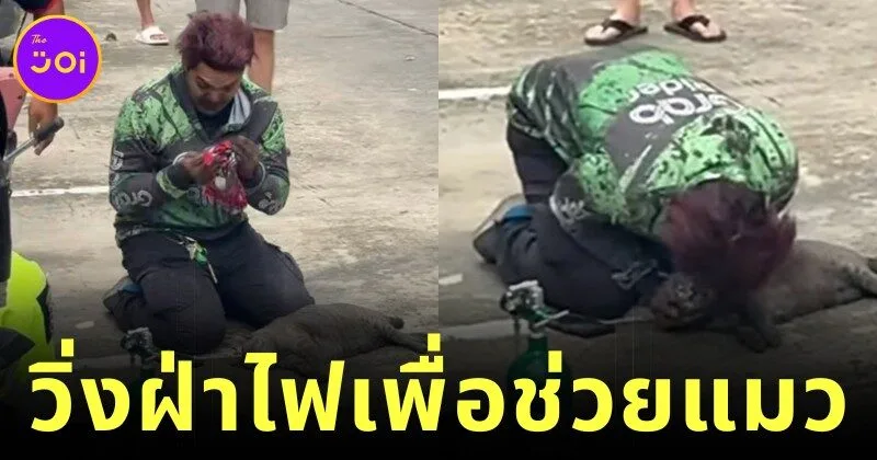 ชาวเน็ตสรรเสริญไรเดอร์ผู้กล้าหาญ วิ่งฝ่ากองไฟช่วยน้องแมวจากอาคารที่เกิดเพลิงไหม้