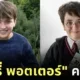 Harry Potter Dominic McLaughlin