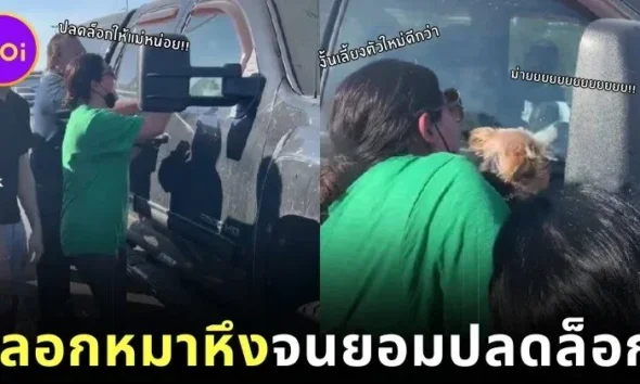 เจ้าตูบล็อกตัวเองไว้ในรถ เจ้าของงัดไม้ตาย "อุ้มหมาตัวอื่น" กระตุ้นให้สุนัขตัวเองอิจฉา จนยอมปลดล็อก!