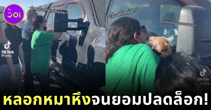 เจ้าตูบล็อกตัวเองไว้ในรถ เจ้าของงัดไม้ตาย "อุ้มหมาตัวอื่น" กระตุ้นให้สุนัขตัวเองอิจฉา จนยอมปลดล็อก!