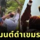 "น้องหญิง-ท่านพี่" ทำพิธีล้างมนต์ดำ! ยืนยันคนไทยไม่ต้องห่วง "แม่ทัพภาคที่ 2" พลังบุญส่งถึงแนวหน้าแล้ว