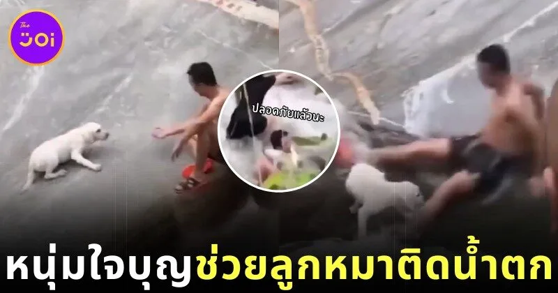 พระคุ้มครอง! ลูกสุนัขติดอยู่กลางน้ำตก โชคดีได้หนุ่มใจบุญลงมาช่วย จนถึงพื้นอย่างปลอดภัย