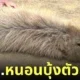 หมามะพร้าว คาปิบาร่ารีแลกซ์ หนอนบุ้ง