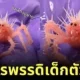 ปูจักรพรรดิเด็ก