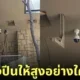 ภาพหมีโคอาล่านั่งตัวกลมบนยอดไม้สูงติดเพดาน