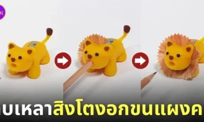 กบเหลาดินสอสิงโต